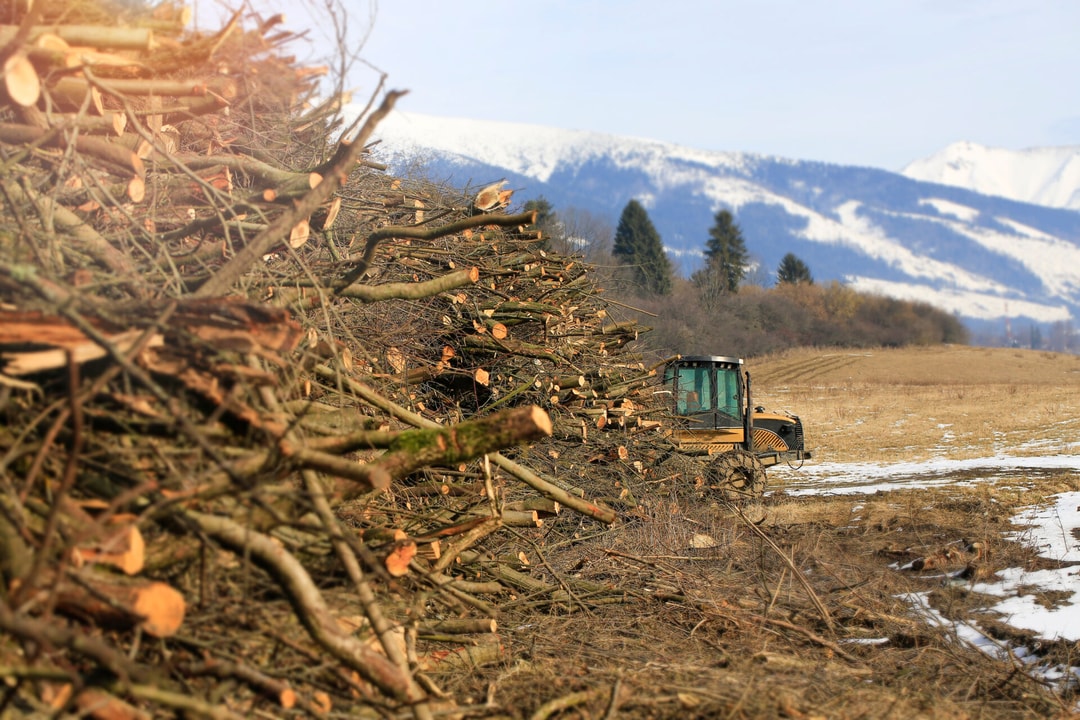 a tractor in a field with a pile of cut trees