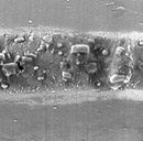 a close-up of a microscope