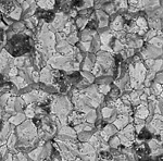 a close up of a rock