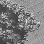 a close-up of a rock