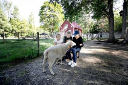 en grupp barn som klappar en get