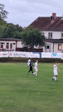 en grupp människor på en äng