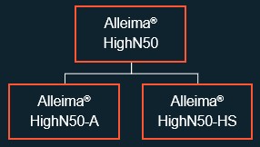 ett diagram över ett företag