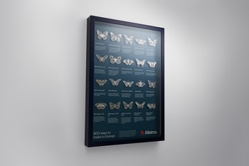 a framed picture of butterflies