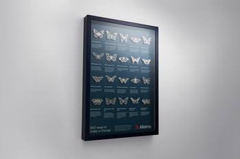 a framed picture of butterflies