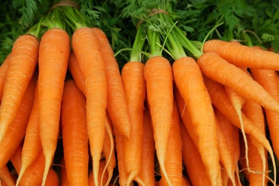 Carrots.jpg