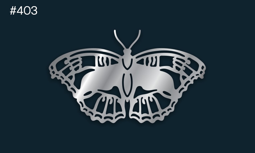 a silver butterfly on a dark background