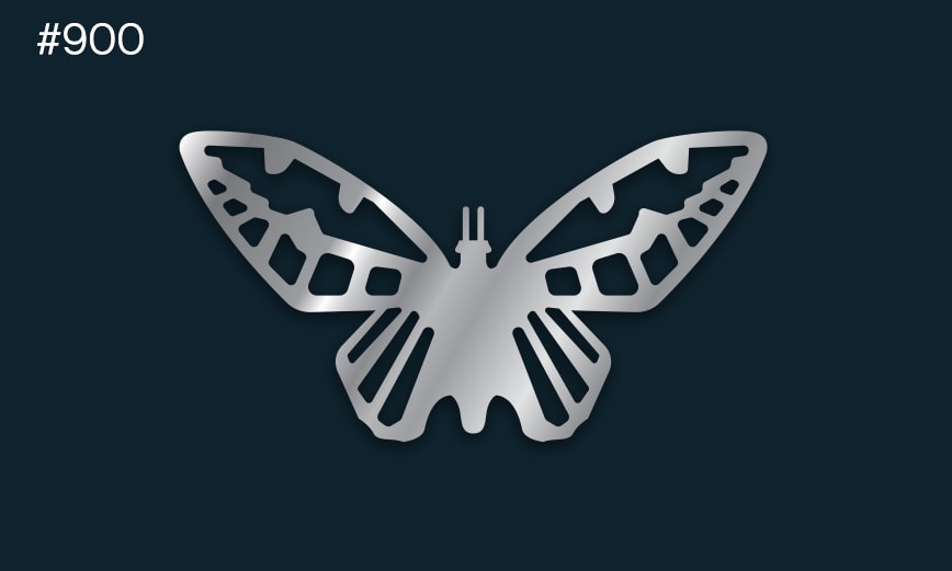 a silver butterfly with wings