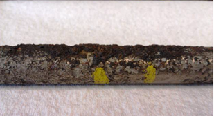 Thick scale formation with corrosion due to HCl condensation.