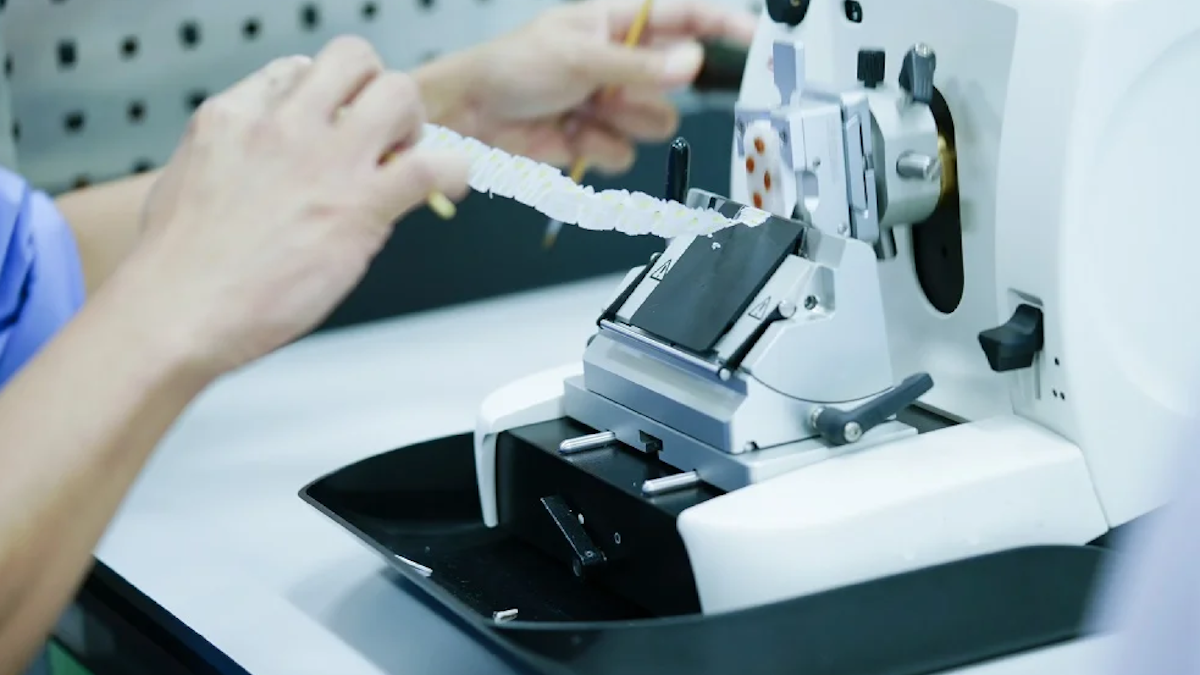 Microtomen Successful microtome sectioning of tissue with the right blade — Alleima